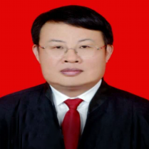 陈平顾问